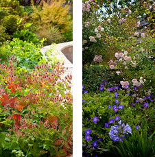 Planting - Isle of Man